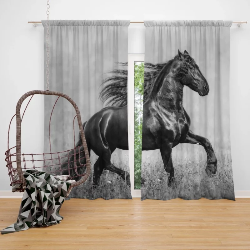 Horse in Black & White Graceful Majesty Curtain