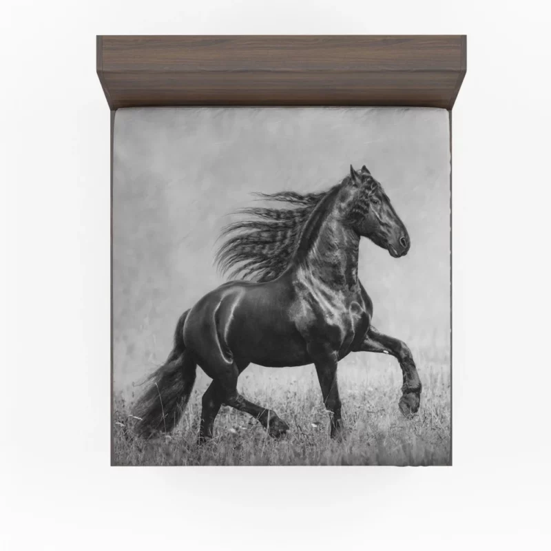 Horse in Black & White Graceful Majesty Fitted Sheet 1