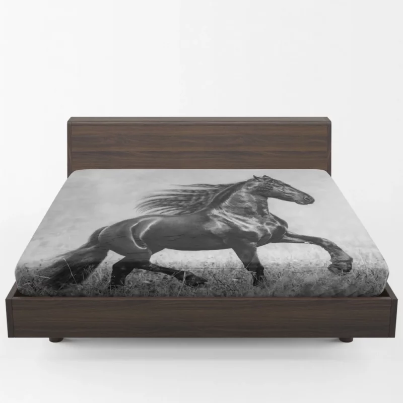 Horse in Black & White Graceful Majesty Fitted Sheet