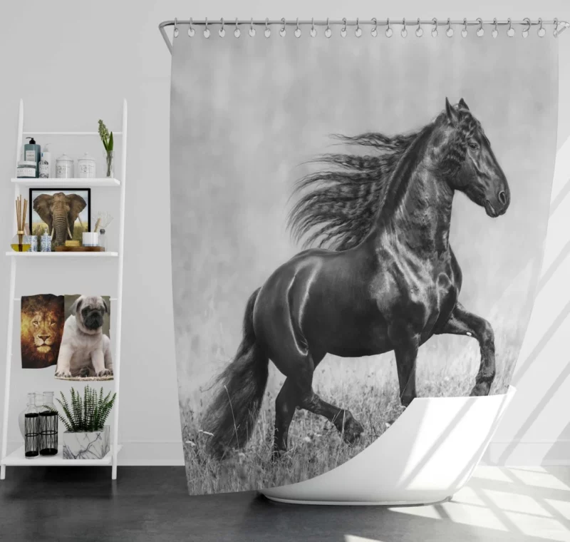 Horse in Black & White Graceful Majesty Shower Curtain