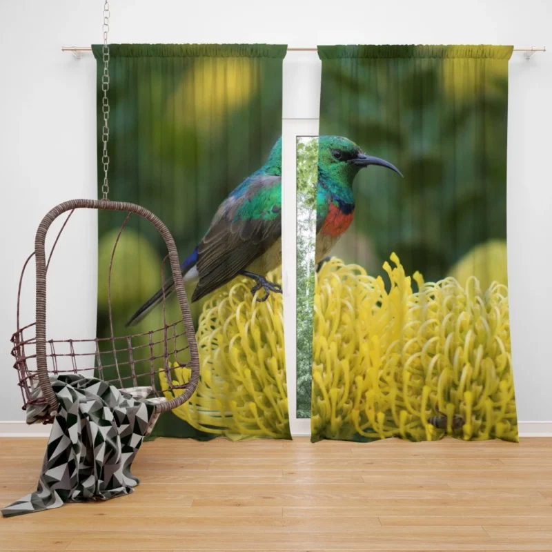 Hummingbird Delicate Charm Floral Sip Curtain