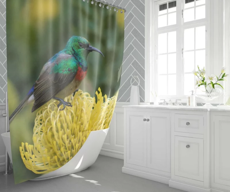 Hummingbird Delicate Charm Floral Sip Shower Curtain 1