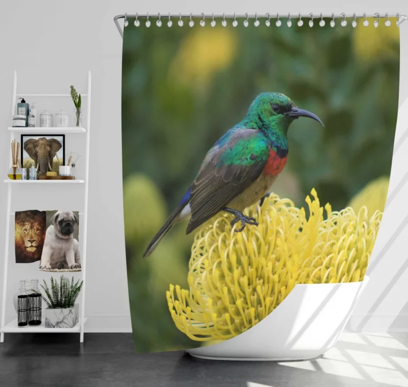 Hummingbird Delicate Charm Floral Sip Shower Curtain