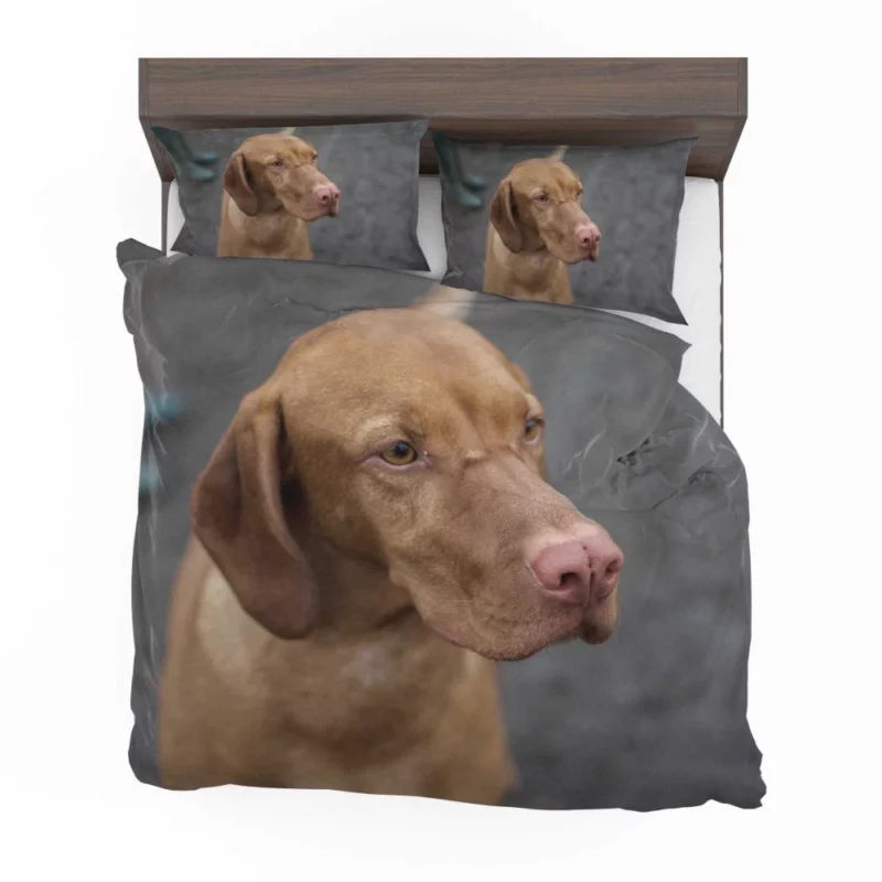 Hungarian Vizsla Muzzle Stance Canine Beauty Bedding Set 1