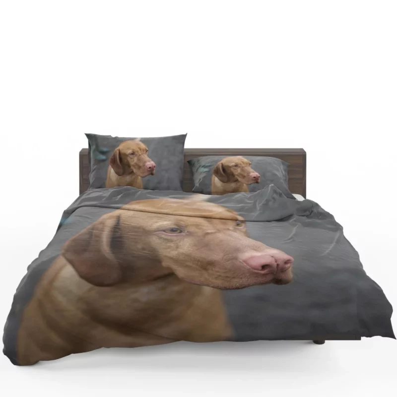 Hungarian Vizsla Muzzle Stance Canine Beauty Bedding Set