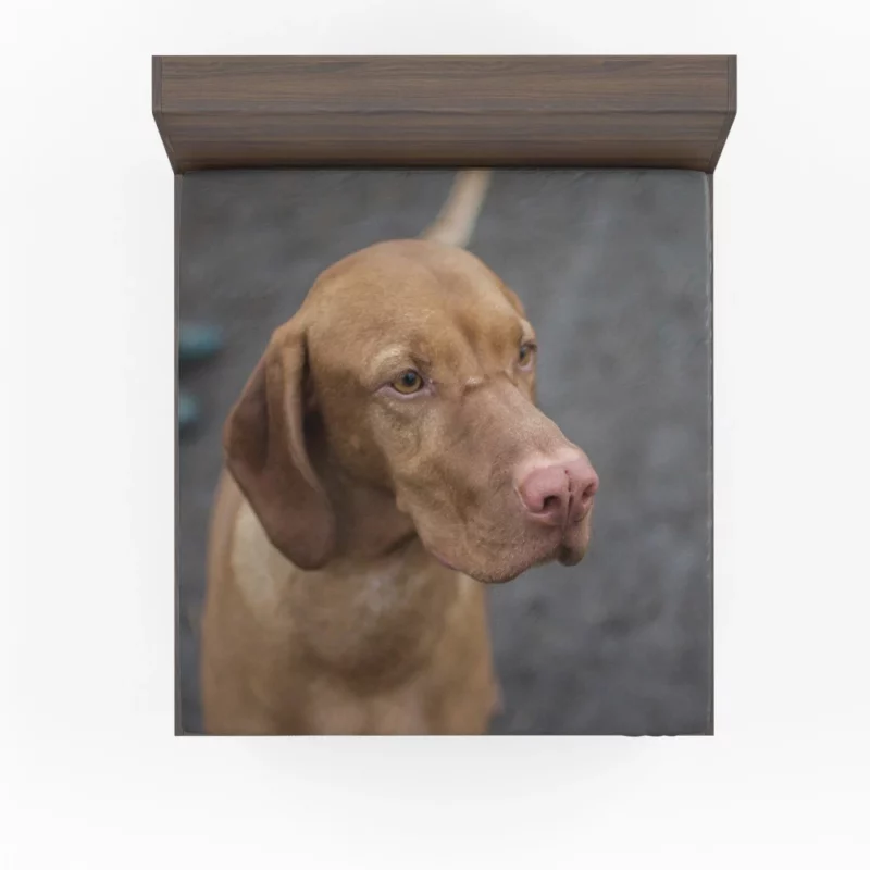 Hungarian Vizsla Muzzle Stance Canine Beauty Fitted Sheet 1