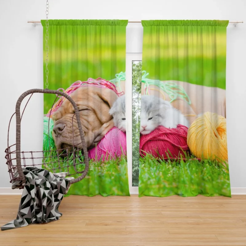 Husky & Australian Shepherd Nap Furry Bliss Curtain