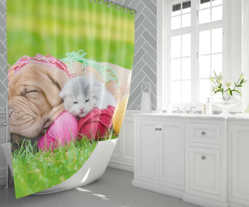 Husky & Australian Shepherd Nap Furry Bliss Shower Curtain 1