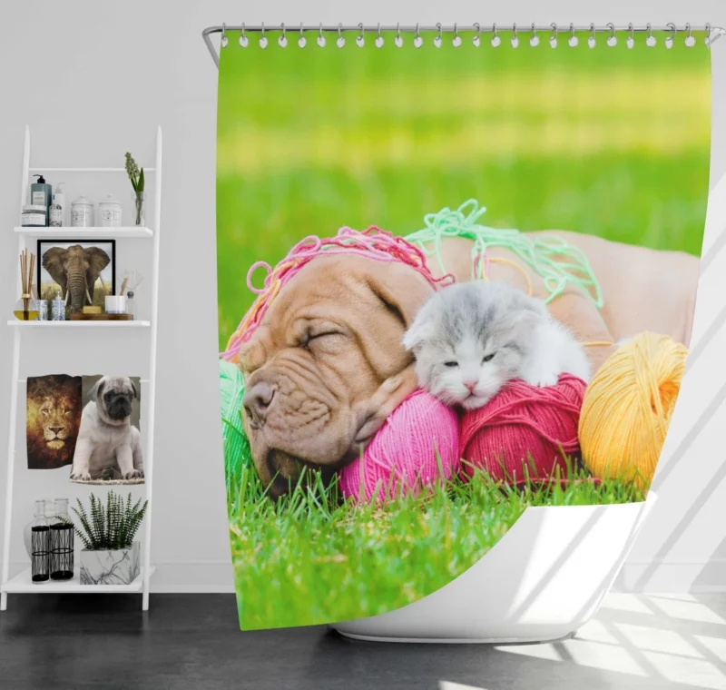 Husky & Australian Shepherd Nap Furry Bliss Shower Curtain