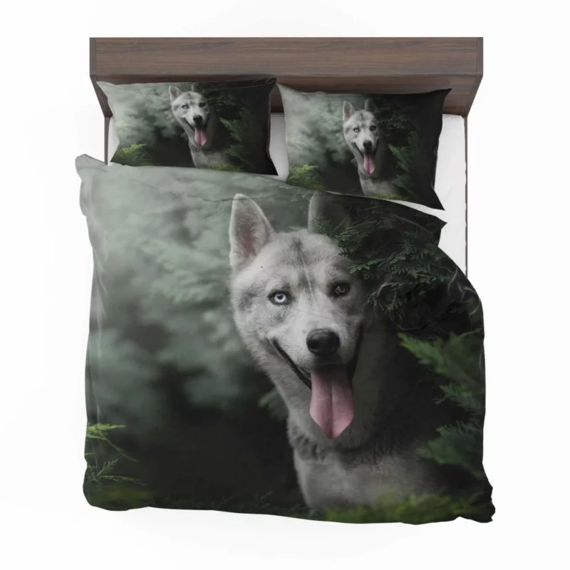 Husky Heterochromia Muzzle of Wonder Bedding Set 1