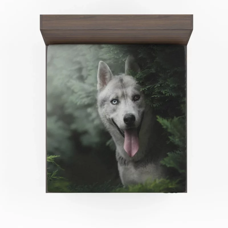 Husky Heterochromia Muzzle of Wonder Fitted Sheet 1