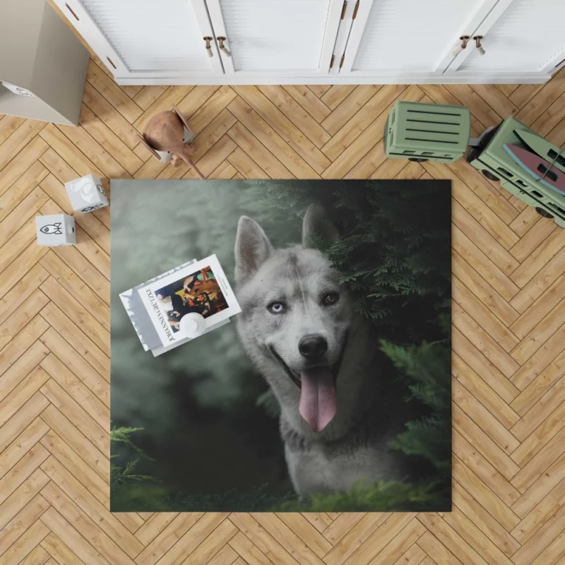 Husky Heterochromia Muzzle of Wonder Rug