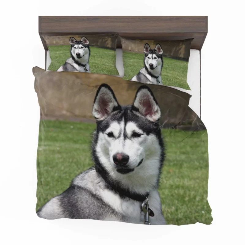 Husky Howling Wilderness Adventure Bedding Set 1