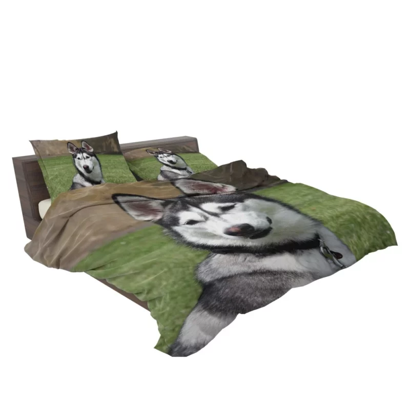 Husky Howling Wilderness Adventure Bedding Set 2