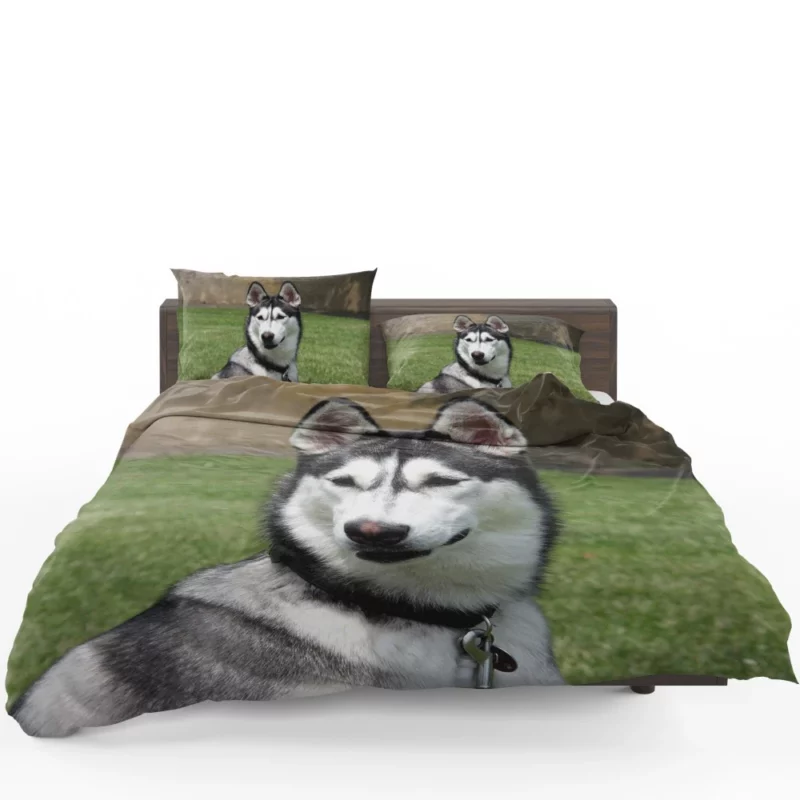 Husky Howling Wilderness Adventure Bedding Set