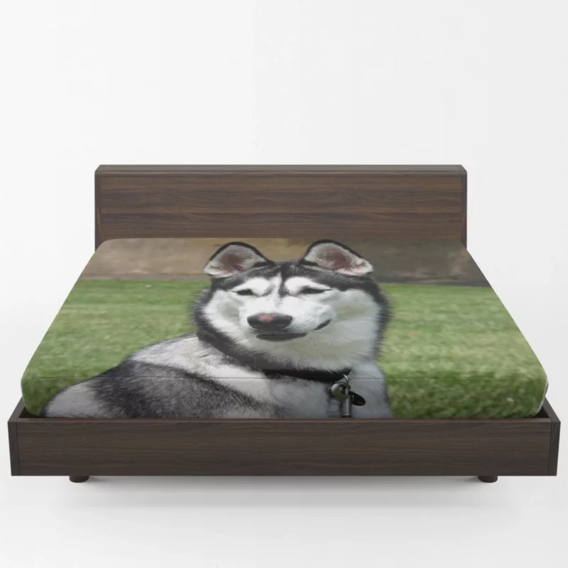 Husky Howling Wilderness Adventure Fitted Sheet