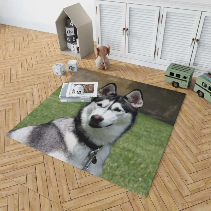 Husky Howling Wilderness Adventure Rug 1