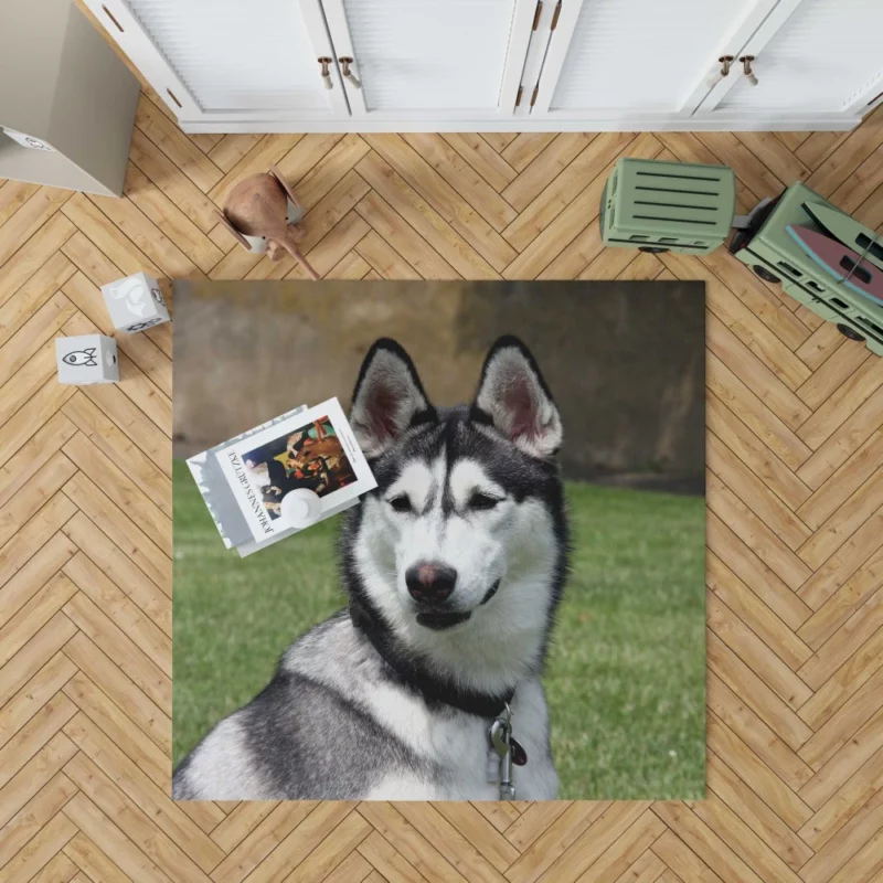 Husky Howling Wilderness Adventure Rug