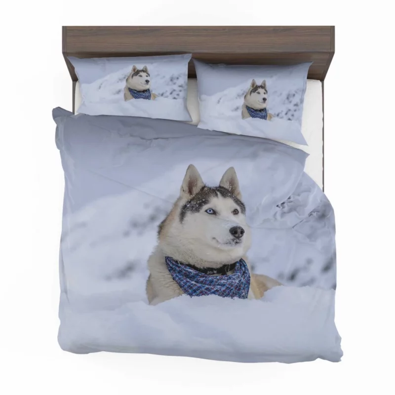 Husky Snowy Adventure Arctic Elegance Bedding Set 1