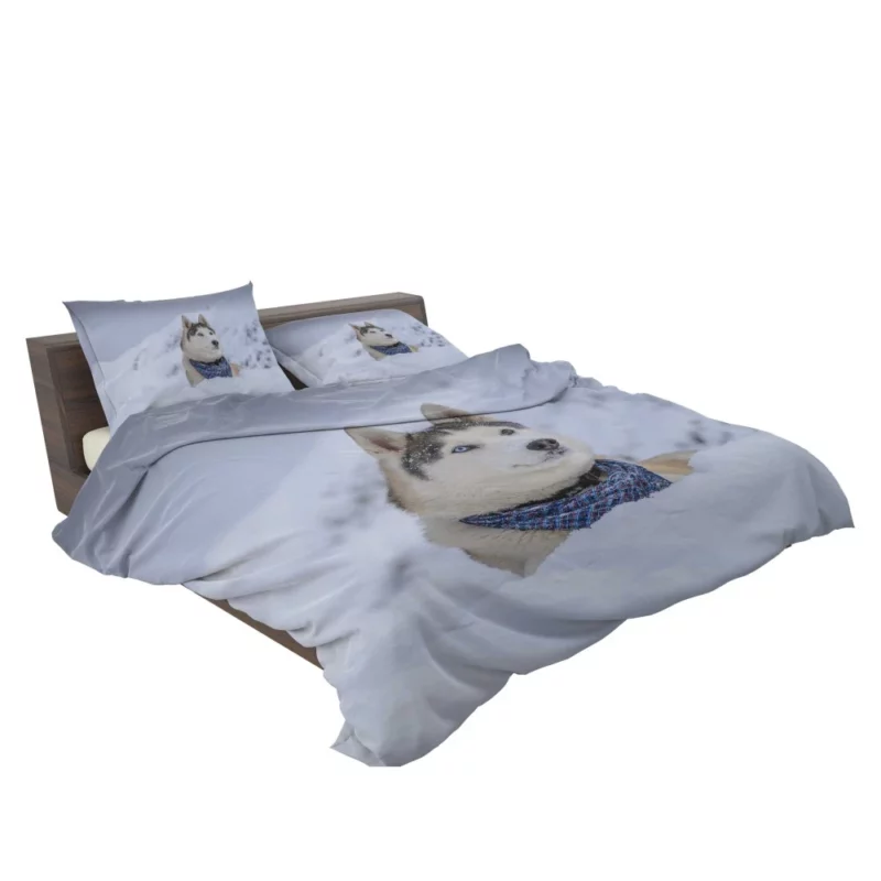 Husky Snowy Adventure Arctic Elegance Bedding Set 2