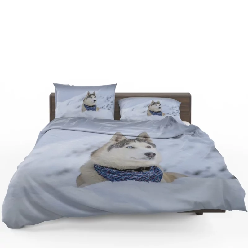 Husky Snowy Adventure Arctic Elegance Bedding Set