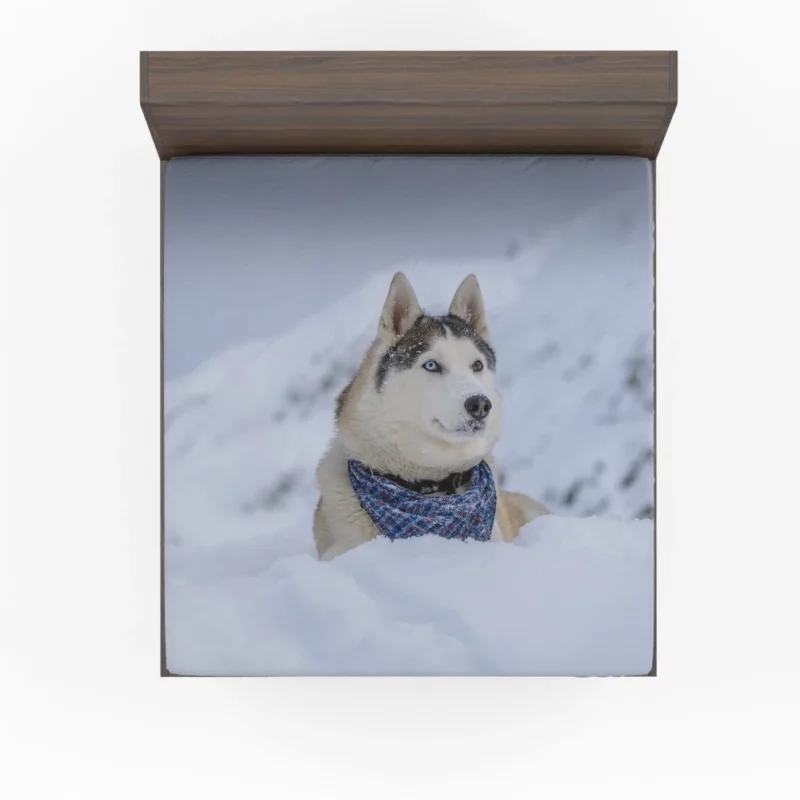 Husky Snowy Adventure Arctic Elegance Fitted Sheet 1