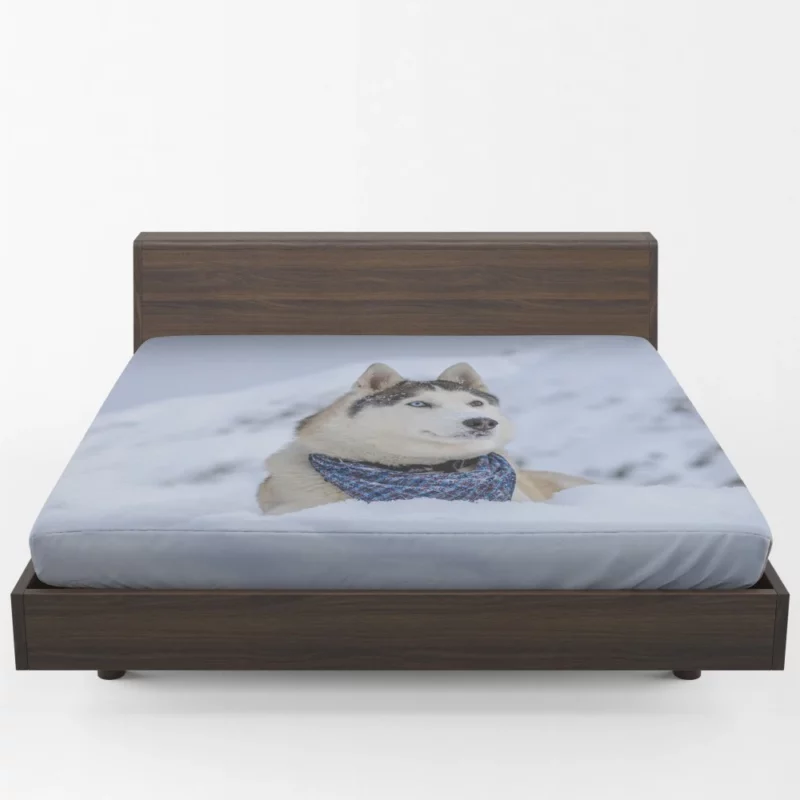 Husky Snowy Adventure Arctic Elegance Fitted Sheet