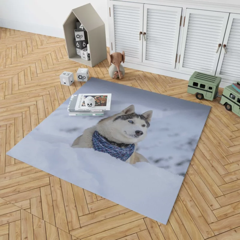 Husky Snowy Adventure Arctic Elegance Rug 1