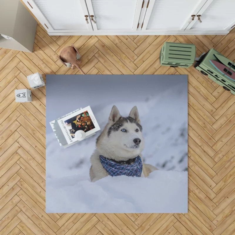 Husky Snowy Adventure Arctic Elegance Rug