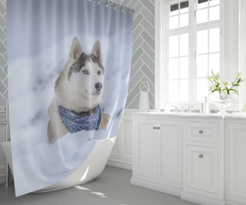 Husky Snowy Adventure Arctic Elegance Shower Curtain 1