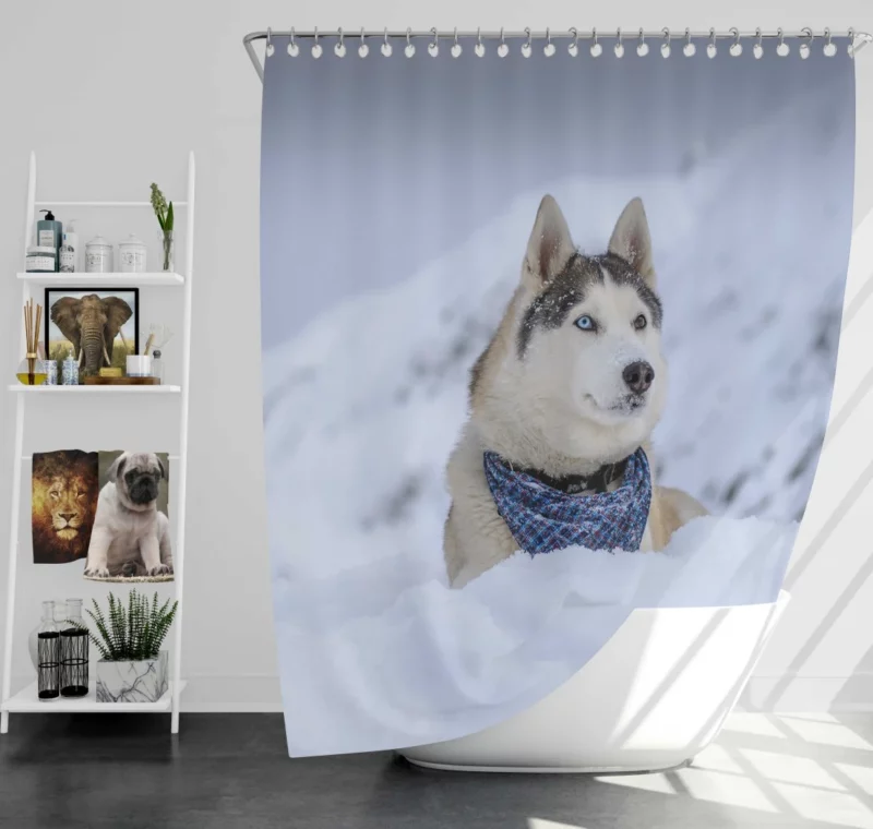 Husky Snowy Adventure Arctic Elegance Shower Curtain