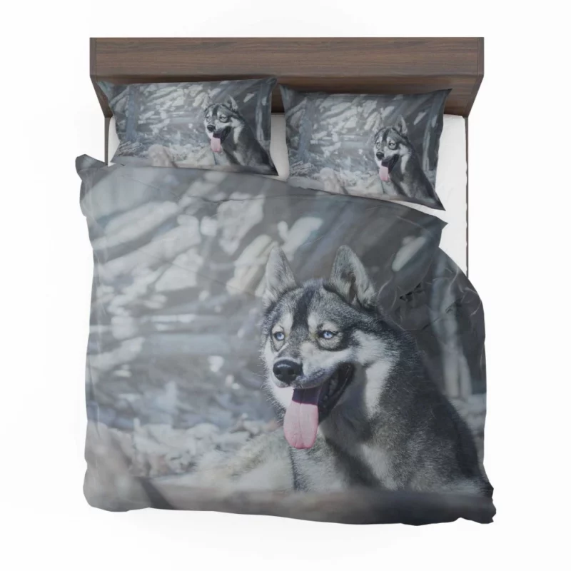 Husky Wintry Stare Arctic Spirit Bedding Set 1