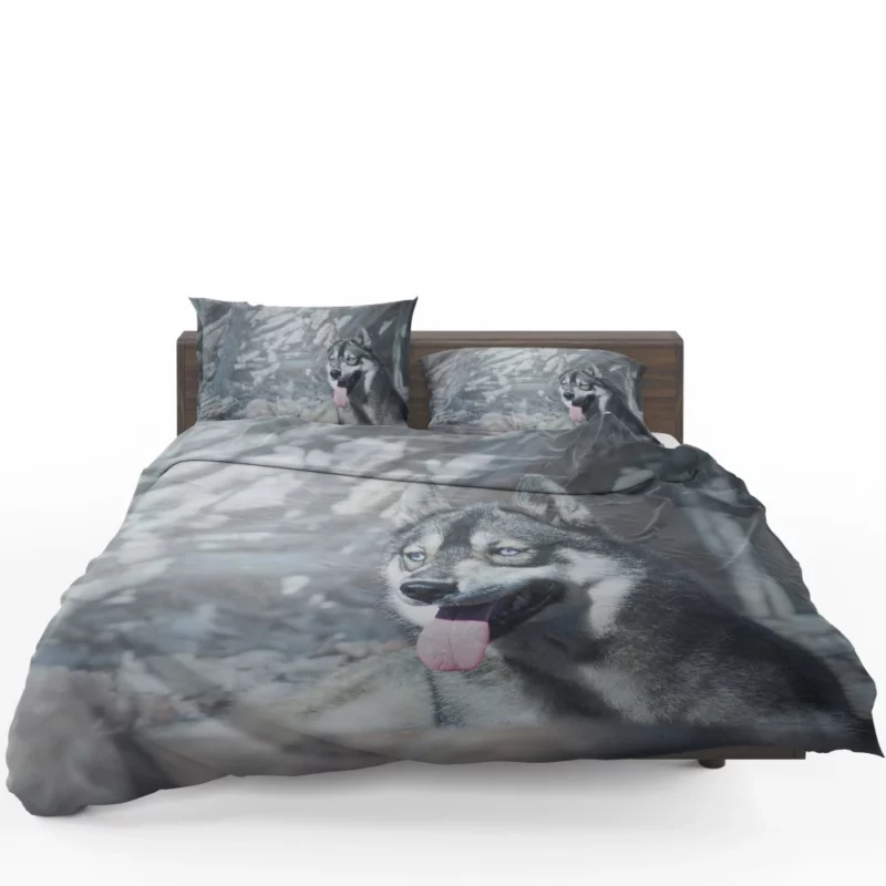 Husky Wintry Stare Arctic Spirit Bedding Set