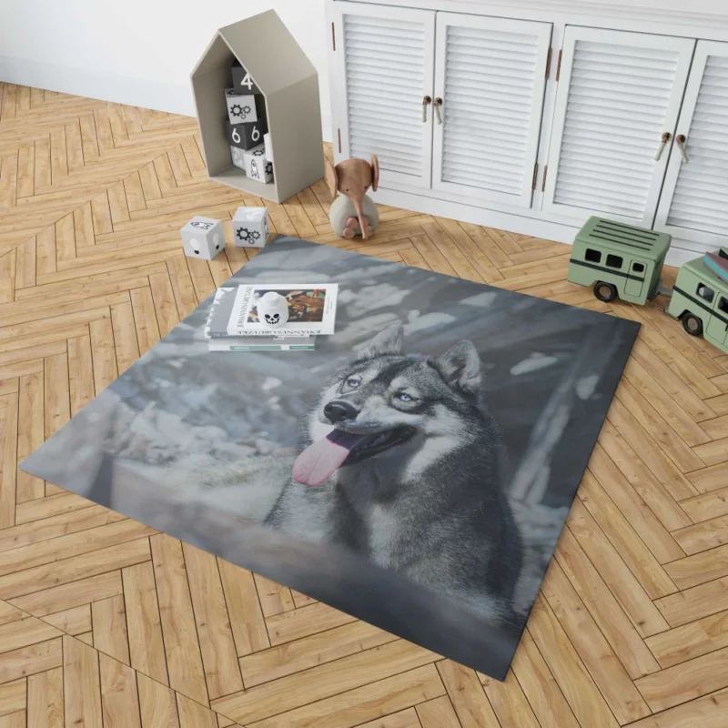 Husky Wintry Stare Arctic Spirit Rug 1