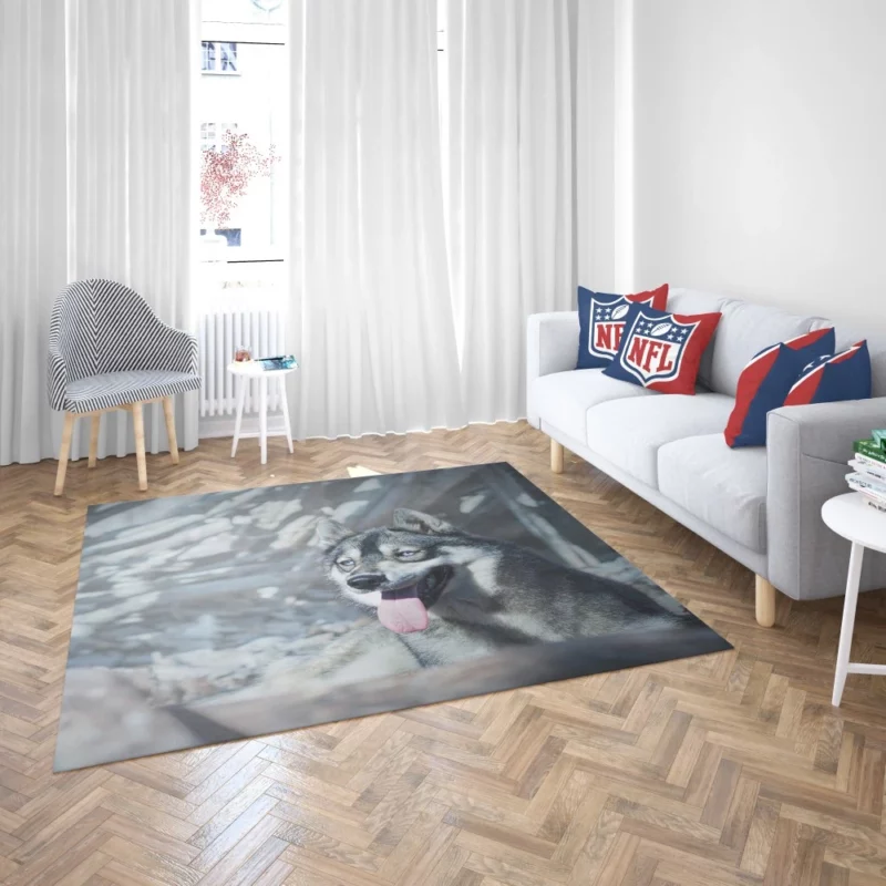 Husky Wintry Stare Arctic Spirit Rug 2