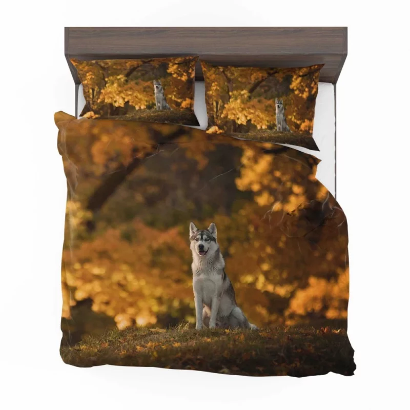 Husky in Fall Canine Adventure Bedding Set 1