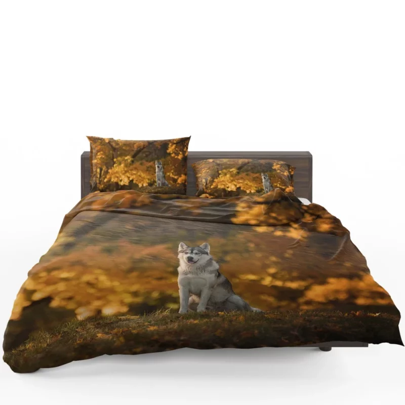 Husky in Fall Canine Adventure Bedding Set