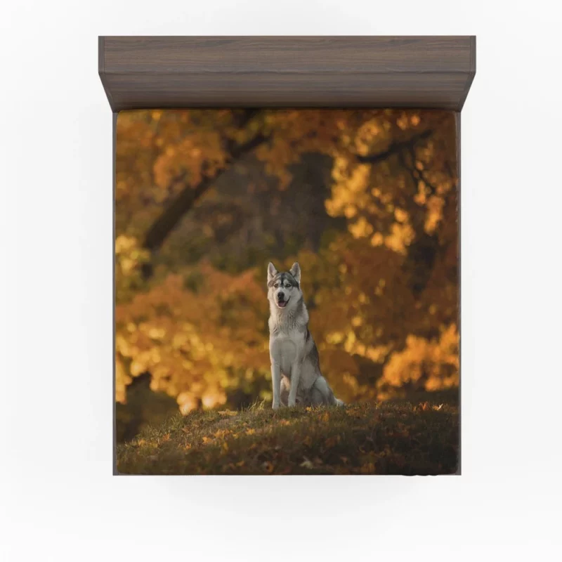 Husky in Fall Canine Adventure Fitted Sheet 1