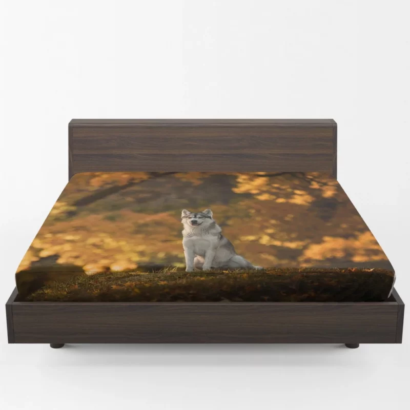 Husky in Fall Canine Adventure Fitted Sheet