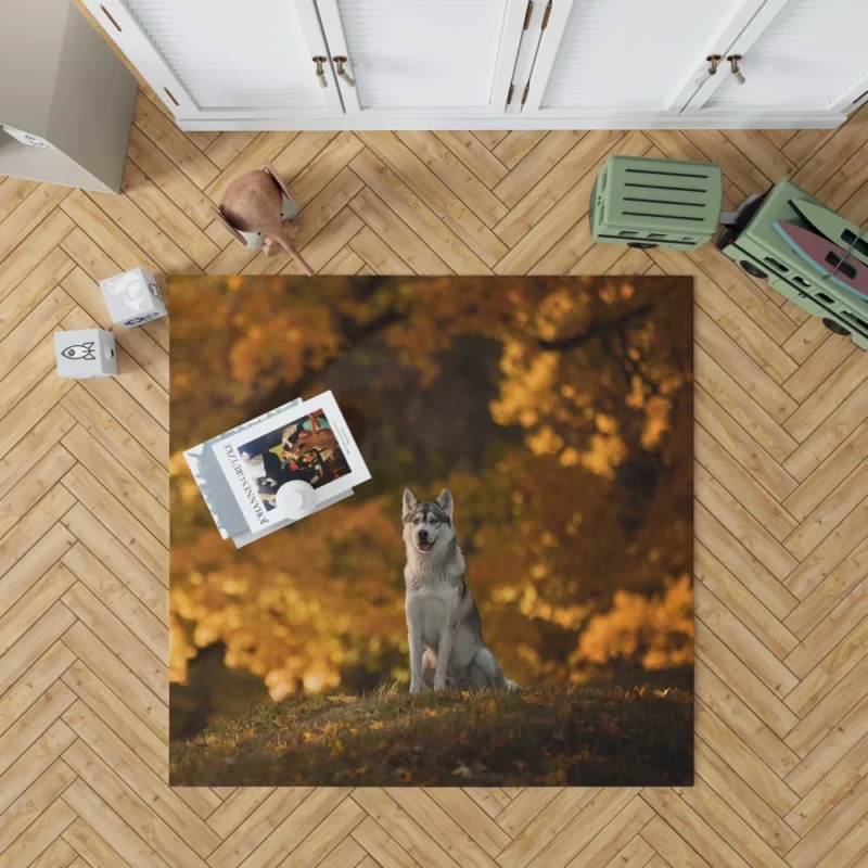 Husky in Fall Canine Adventure Rug