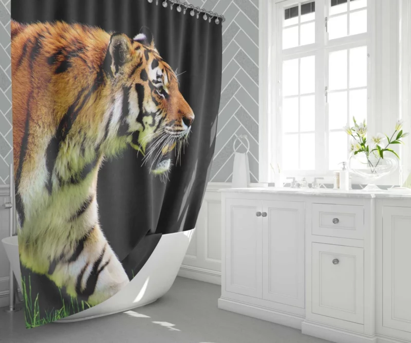 In the Shadows The Mystique of a Tiger Shower Curtain 1