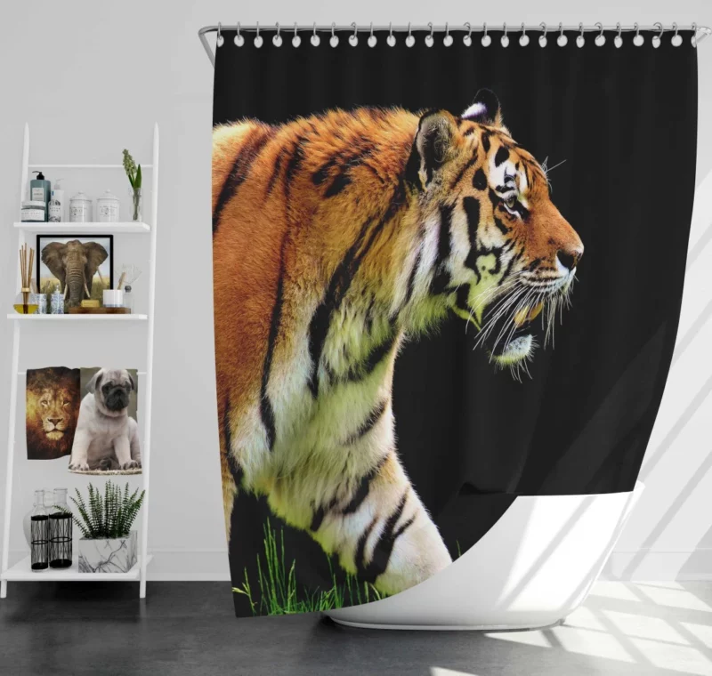 In the Shadows The Mystique of a Tiger Shower Curtain