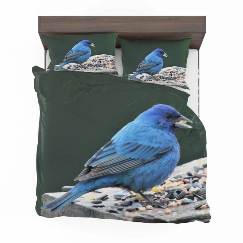 Indigo Bunting Blue Avian Beauty Bedding Set 1