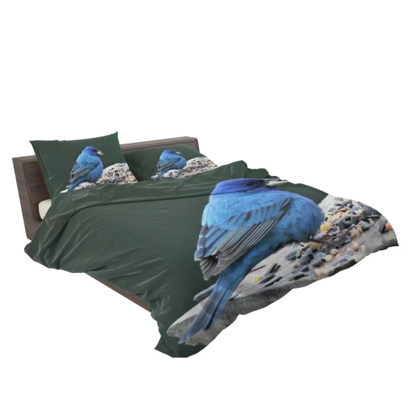 Indigo Bunting Blue Avian Beauty Bedding Set 2