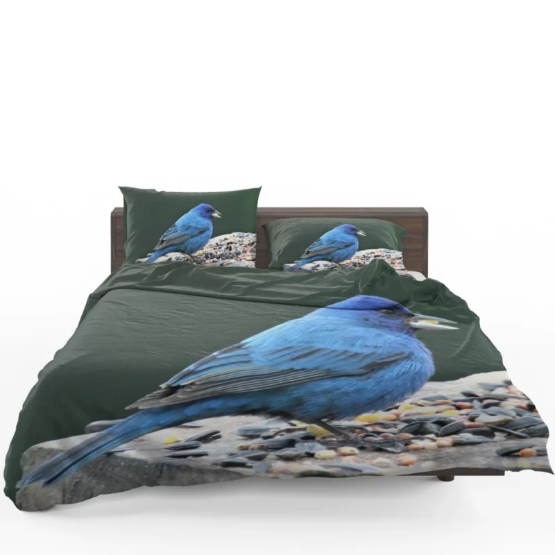 Indigo Bunting Blue Avian Beauty Bedding Set