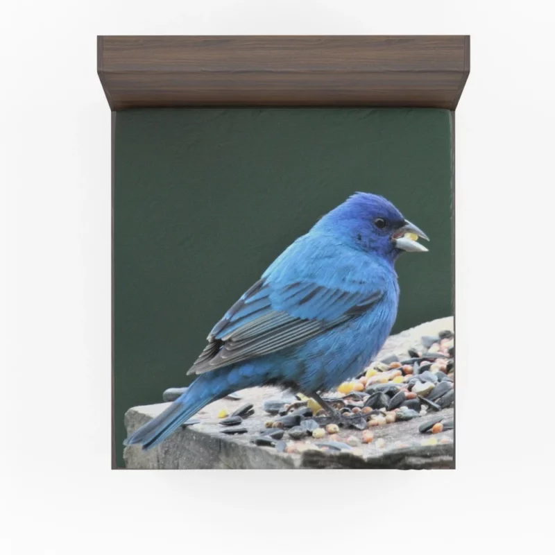 Indigo Bunting Blue Avian Beauty Fitted Sheet 1