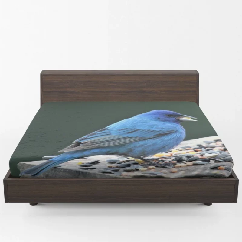 Indigo Bunting Blue Avian Beauty Fitted Sheet