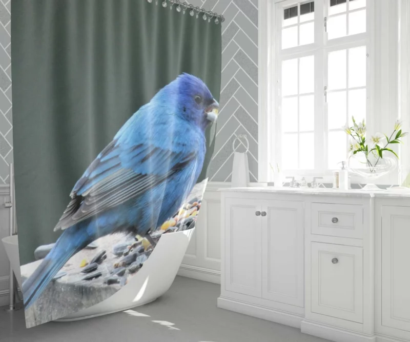 Indigo Bunting Blue Avian Beauty Shower Curtain 1