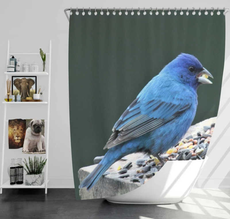 Indigo Bunting Blue Avian Beauty Shower Curtain