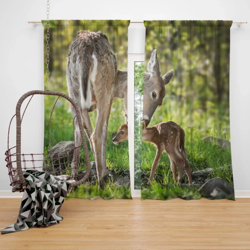 Innocence Baby Deer Curtain